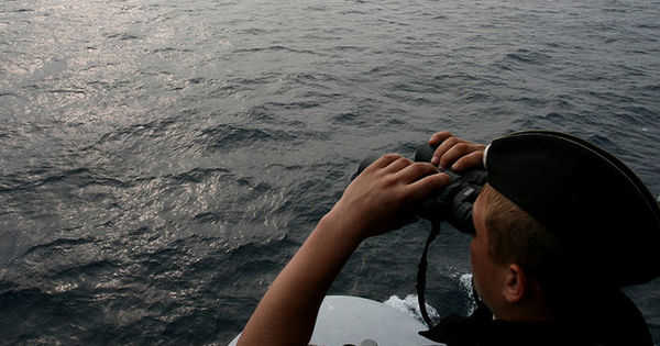 Россия готова отреагировать на действия НАТО в Черном море.