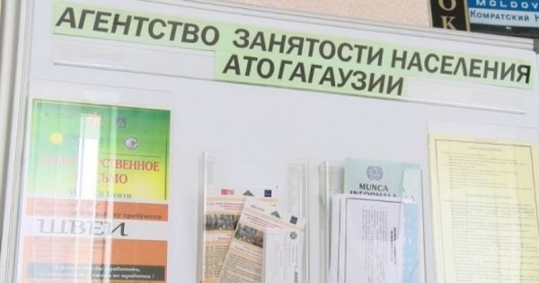 Стало известно какие специальности в Гагаузии сегодня самые востребованные.