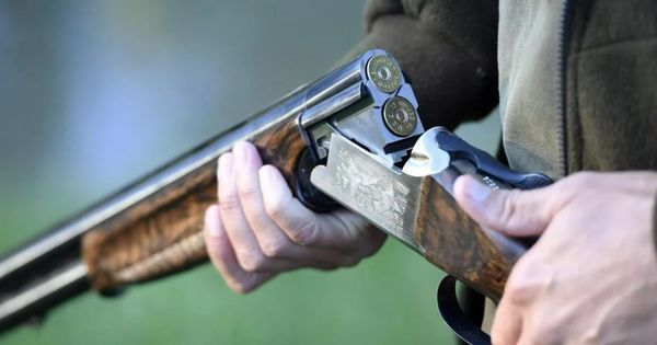 Граждане Молдовы законно владеют более, чем 70 тыс. единиц оружия.