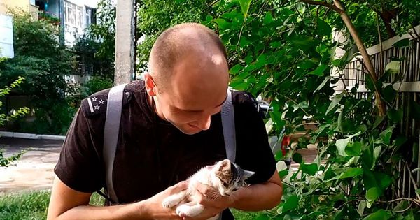 В Тирасполе спасатели помогли упавшему в трубу котенку.