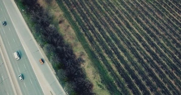 Terenul pe care va fi construită Chișinău Arena a fost luat din proprietatea Colegiului de Vinificație. 