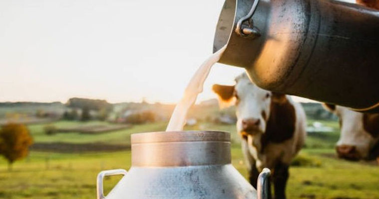 Moldova a investit 20 de milioane de dolari în ferme, însă importurile de lapte continuă să crească.