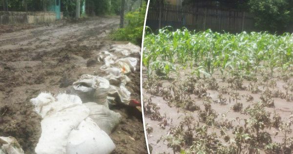 В селе Ержово люди строили дамбы из мешков с землей из-за потопа.