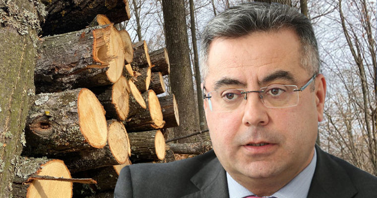 Кашу: Государство продает дрова в 5 раз дороже себестоимости.