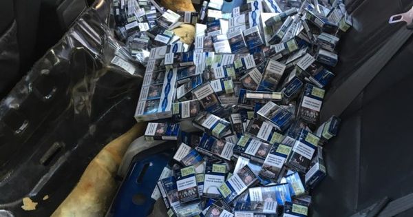 Служебная собака вновь помогла предотвратить контрабанду сигарет.