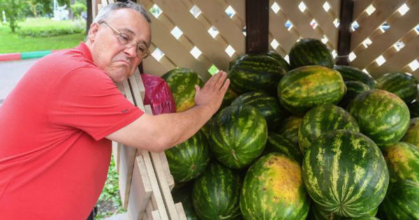 В Молдове цены на арбузы в июле низкие из-за румынского импорта.