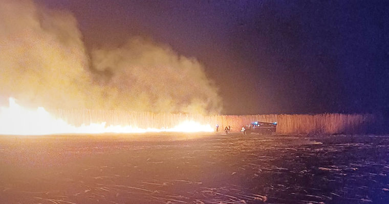 В Кагульском районе потушили большой пожар: пламя охватило 10 гектаров камыша.