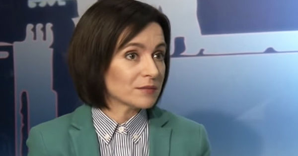 По словам политиков, все факты, изложенные в этом отчете, являются фальсификацией.