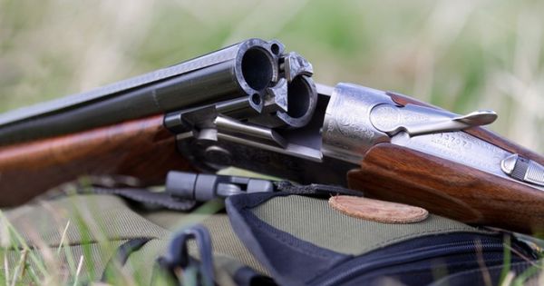 74-летний житель Теленештского района по неосторожности ранил из ружья 43-летнего племянника. 