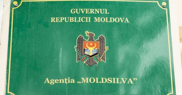 В агентстве Moldsilva назначен новый директор.
