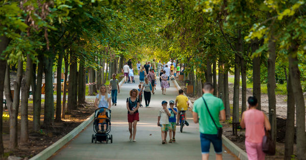 Молдаване назвали свои основные проблемы: низкие зарплаты, высокие цены и отсутствие перспектив.