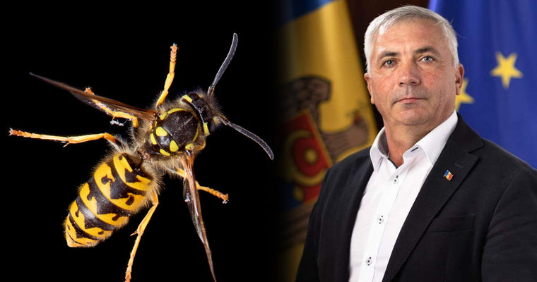 Скончался депутат от партии PAS Юрий Пэсат