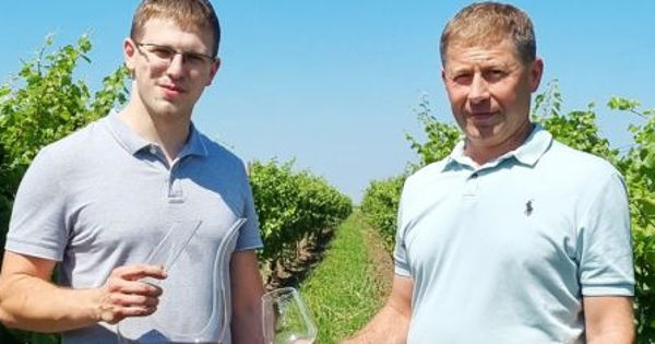 Новый производитель использует калифорнийский опыт при производстве вина.