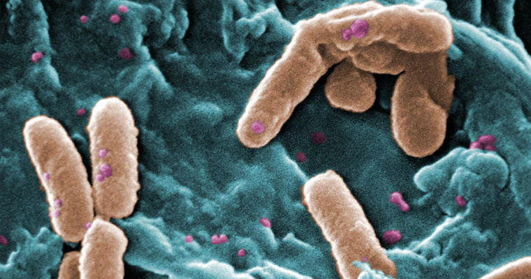 Oamenii de știință au dezvoltat o nouă metodă de combatere a bacteriilor periculoase.