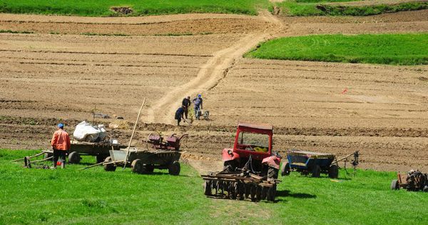 Autoritățile vor oferi sprijinul necesar sectorului agricol