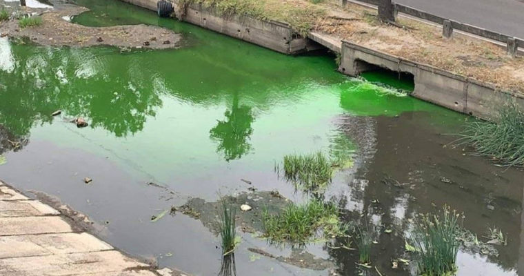 Вода в реке Бык позеленела