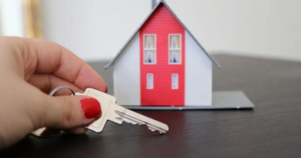 Налоговая предупредила об уплате налогов при использовании платформ Booking и Airbnb.