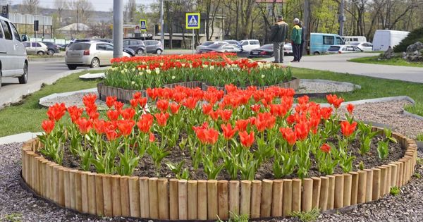 Цветы столицы. Столица цветов на 16 парковой.