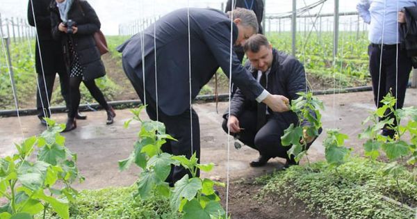 Subvenții importane: Ministrul Agriculturii a vizitat un fermier