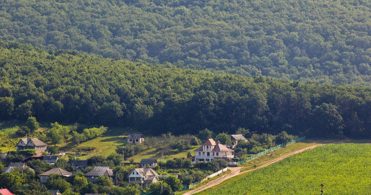 În 80 de ani, suprafața împădurită în Moldova a crescut cu circa 160.000 de hectare.