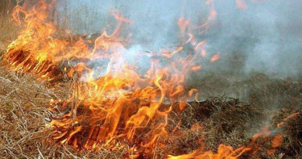 "Жёлтый" код пожарной опасности продлен до конца июля.