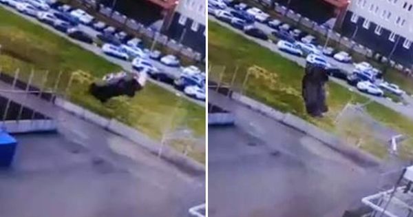 Двойное сальто автомобиля в Омске попало на видео.