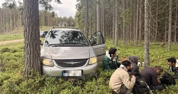 В Латвии гражданин Молдовы, перевозивший мигрантов, врезался в дерево и сбежал в лес.