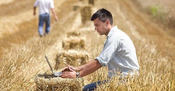 Молодежь из регионов пройдет обучение в сфере развития сельхозбизнеса.