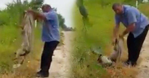 В Оргееве сняли на видео, как мужчина жестоко обращался с собакой.