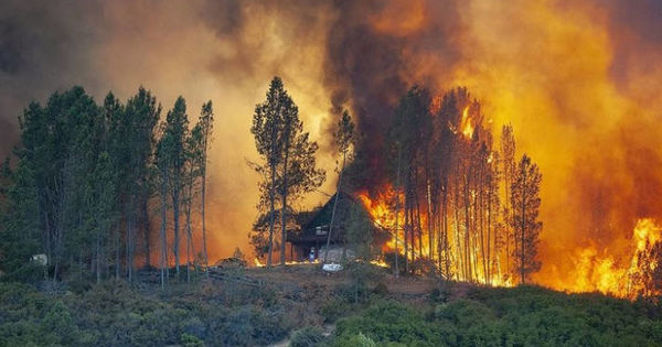 В Турции курортам побережья Эгейского моря пожары не угрожают.