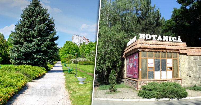 Аудит в Ботаническом саду: потери за три года могли составить до 10 млн леев.