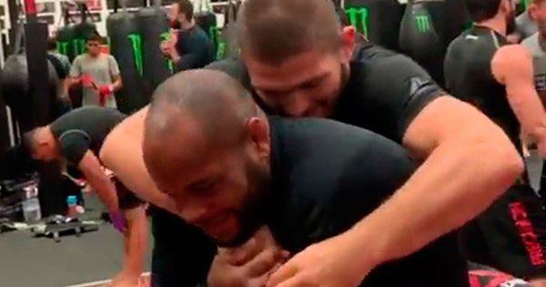 Нурмагомедов и Кормье являются друзьями и тренируются в одном зале в США. 