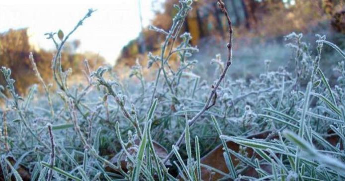 Метеопредупреждение в связи с заморозками продлено: ожидается до -2°C.