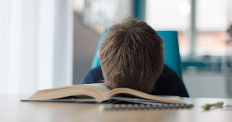 Преподаватель нецензурно выражалась на занятиях: проводится проверка.