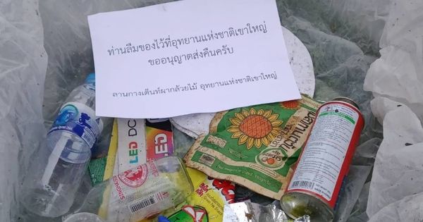 В Таиланде нацпарк будет отправлять посетителям посылки с мусором. Фото: esquire.ru.