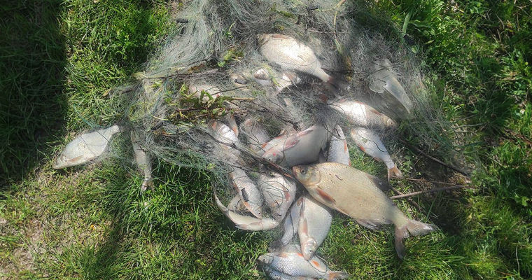 Pescuit ilegal pe râul Prut, depistat de o dronă: Încălcătorii au fost reținuți.