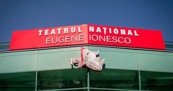 Actori de la Eugen Ionesco: Muncim pe brânci. 40 de angajaţi au plecat. Foto: fest.md