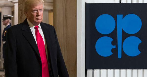 Трамп призвал ОПЕК снизить цены на бензин. Фото: Reuters