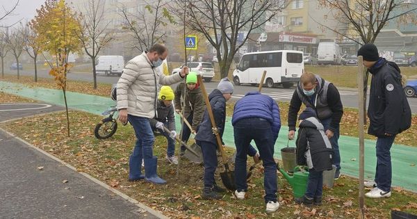 На Чеканах прошла новая акция по посадке деревьев.
