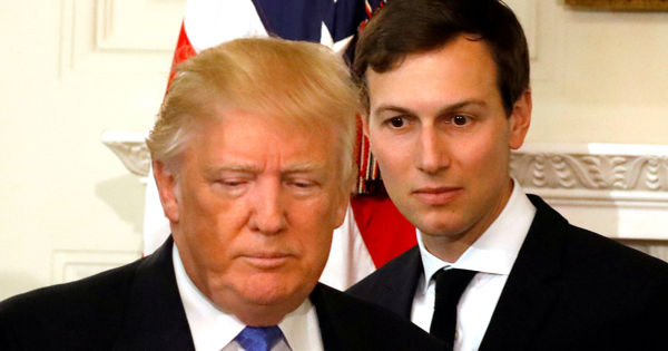 Племянница Трампа считает, что её дядю ФБР «сдал» зять Джаред Кушнер.