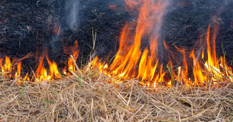 Tragedie la Șoldănești: Un copil de 5 ani a ars de viu într-un șopron cu paie