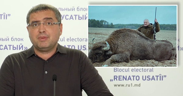 Усатый опубликовал фото Додона с мертвым зубром: Он застрелил символ страны. Коллаж: Point.md