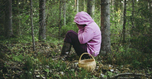 Заблудившаяся в лесу 12-летняя девочка найдена.