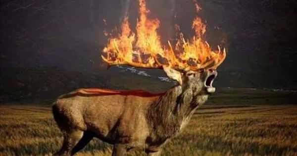 Imagini Trucate Despre Incendiile Din Siberia Distribuite Pe Internet