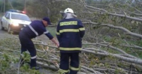 От непогоды пострадали Бельцы, Бричаны, Единцы, Окница, Рышканы, Сынджерей, Глодяны и Дондушаны.