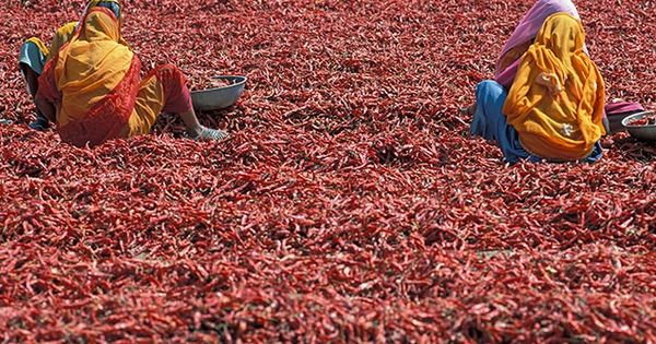 Назван продукт, провоцирующий старческое слабоумие.