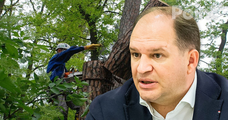 Чебан о вырубке деревьев: Это абсолютная бюрократия, выдачу разрешений нужно упростить.