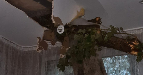 Сломанное ураганом дерево пробило крышу дома в Кишиневе