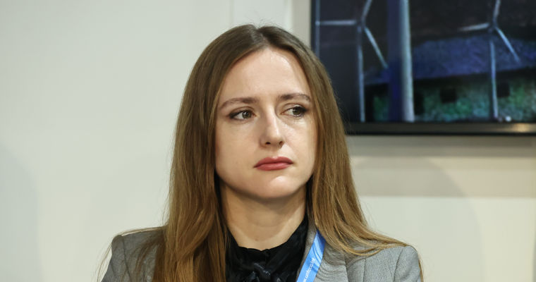 Минэнерго о банкротстве производителей зелёной энергии: Они осознавали риски.
