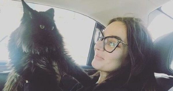Алена Водонаева купила для своего кота квартиру.